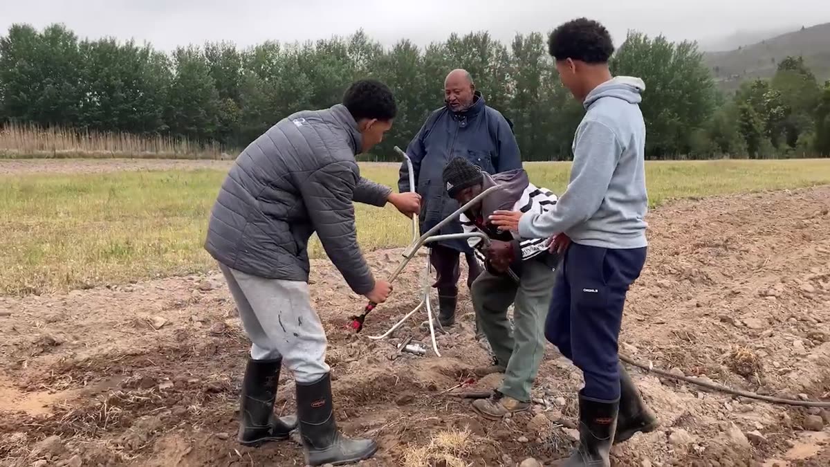 Young people and a mentor connecting an irrigation pipe in a ploughed field
